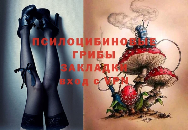 mdpv Баксан